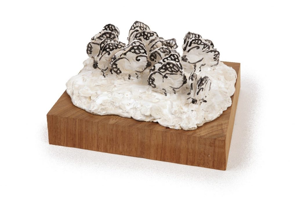 Harriet Stoop Butterflies on Zebra Dropping