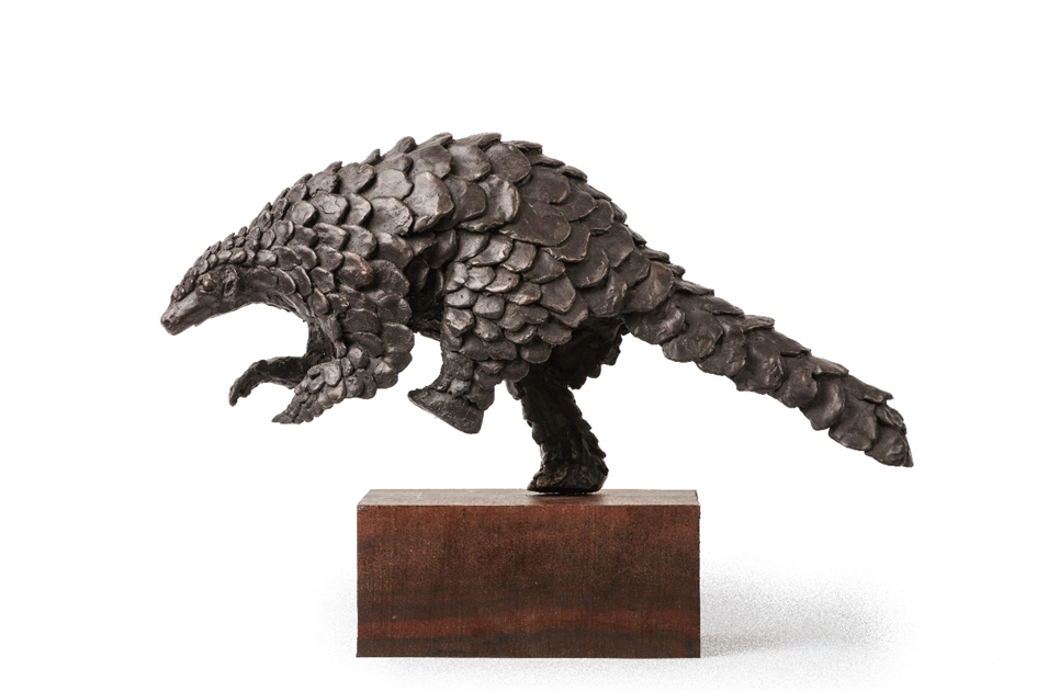 Harriet Stoop Pangolin