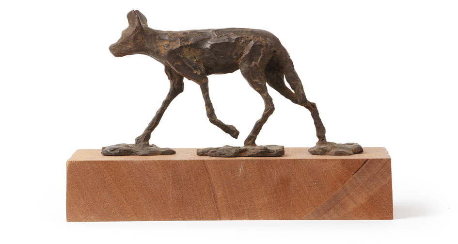 Harriet Stoop Wild Dog on a Mission